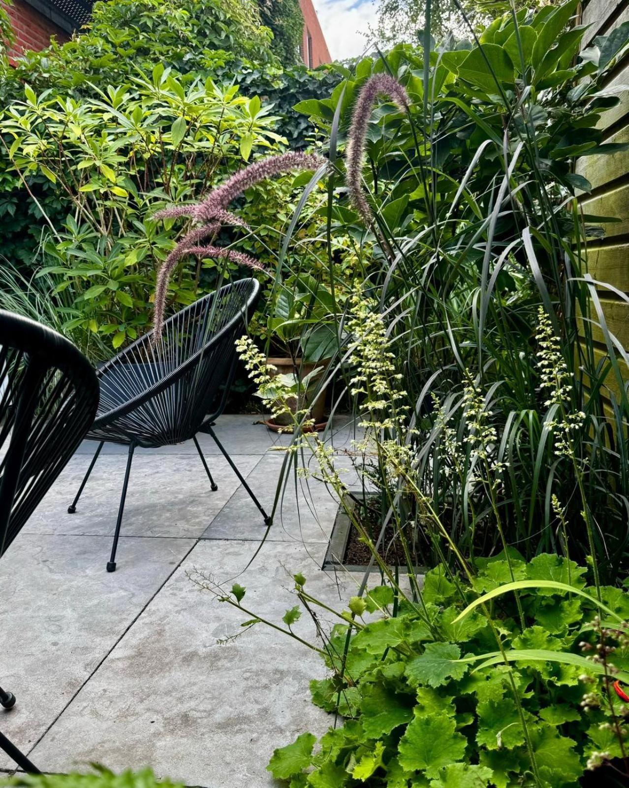 B&B Urban Oasis Amsterdam Eksteriør bilde